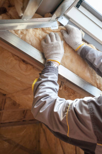 Garage Insulation Installation in Serenada, TX