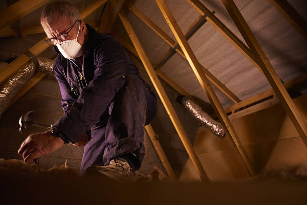 Best Spray Foam Insulation  in Serenada, TX