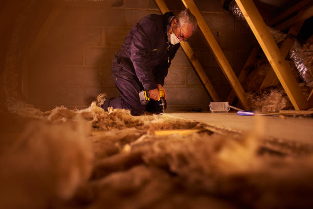 Best Insulation Inspection Services  in Serenada, TX